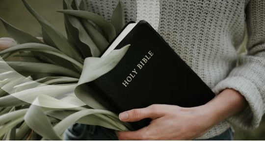 Жеробоам, навуходоносор и другие бутылки из Библии