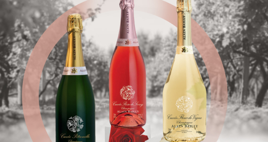 Новинка ассортимента — Alain Bailly