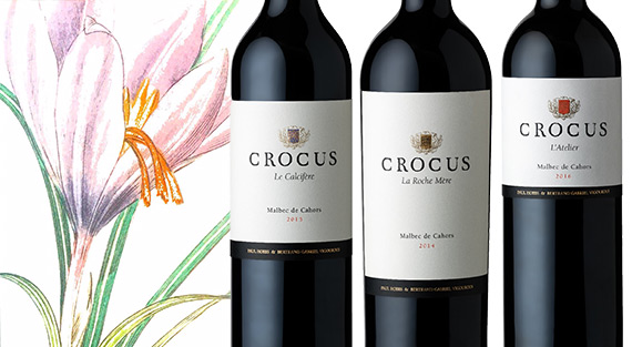 Новинка ассортимента — Crocus