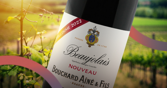 Болит ли голова от божоле нуво?