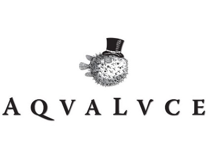 Aqva Lvce