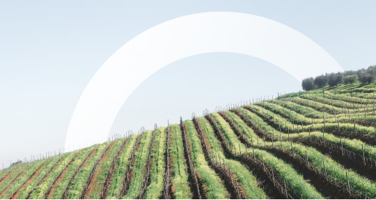 Биодинамика