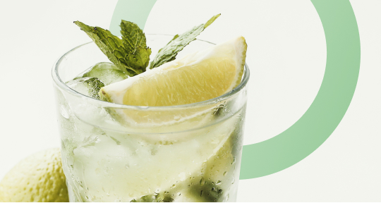 Джин: история в России