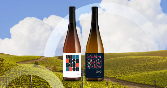 Новинка ассортимента — Bikicki