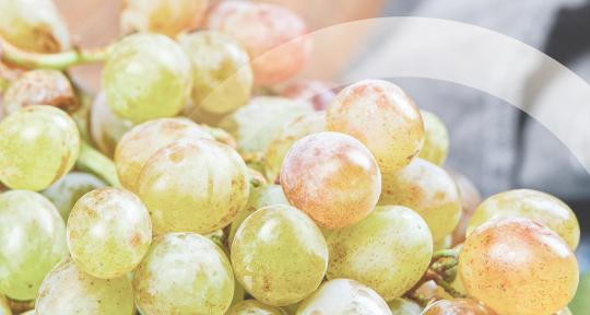 Дни Альбариньо