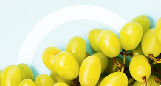 Натуральные вина