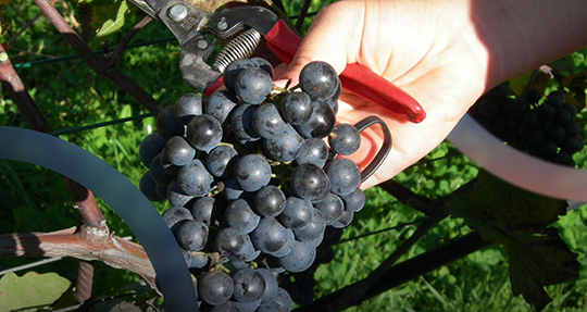 От нуля до ста – история успеха