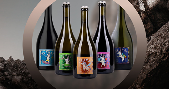 Новинка ассортимента —Шато Пино Петнат