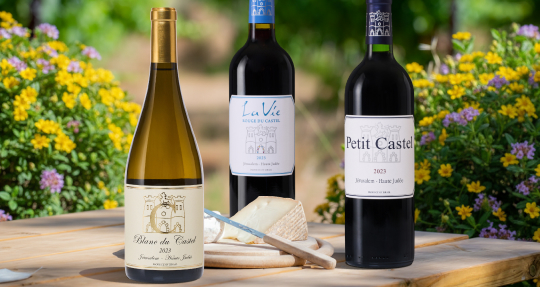 Новинки ассортимента от Domaine du Castel
