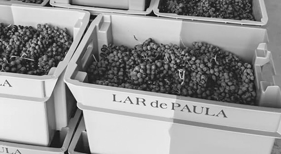 Новинка ассортимента — Lar de Paula