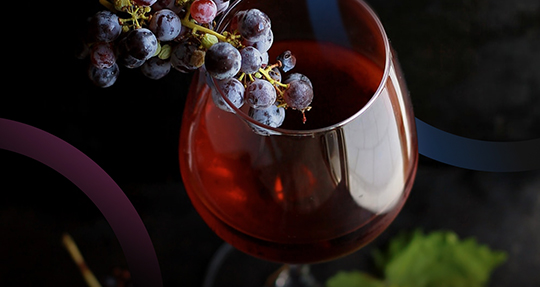 Зал Русских Вин Wine Room