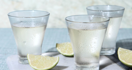 24 июля — День текилы