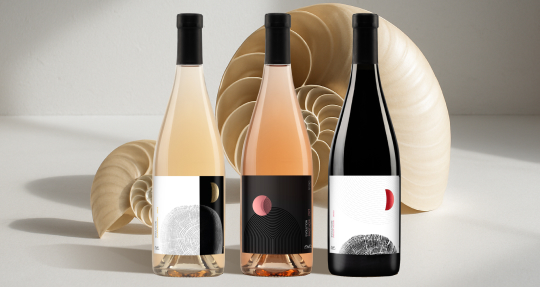 Новинка ассортимента — Aya Organic Wine