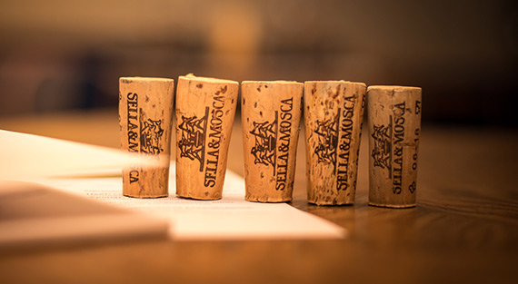 Рассказ о винах консорциума Sella&Mosca