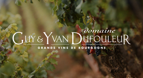 Новинка ассортимента  Guy & Yvan Dufouleur