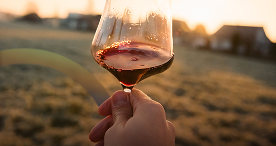 Стоит ли покупать бюджетные вина Бордо?