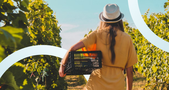 Женщины-виноделы