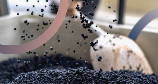 История Стива Джобса виноделия