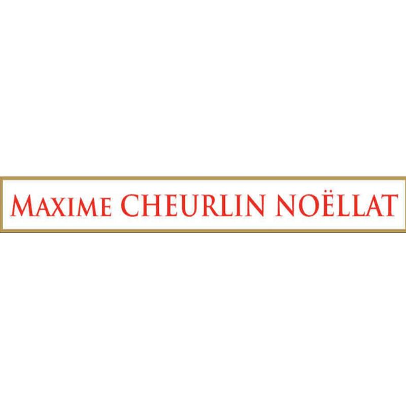 Maxime Cheurlin Noellat