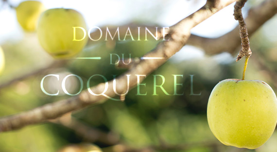 3 июня международный день Сидра!