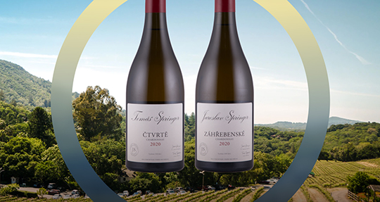 Новинка ассортимента от Stapleton&Springer