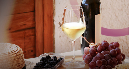 Международный день Шардоне