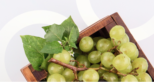 25 мая — Международный день Шардоне