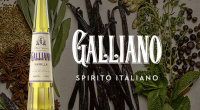 Новинка ассортимента — Bols Galliano Vanilla!