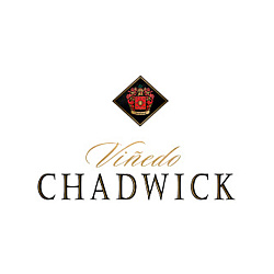 Vinedo Chadwick