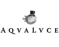 Aqva Lvce
